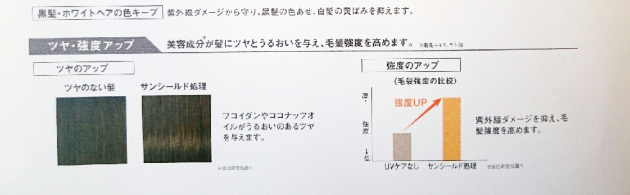 ヘアカラーサンシールド  ヘアカラーのツヤ強度アップ画像