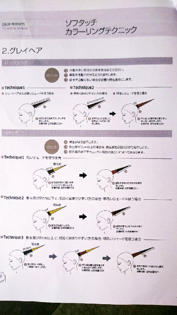 グレイヘアカラーテクニック画像