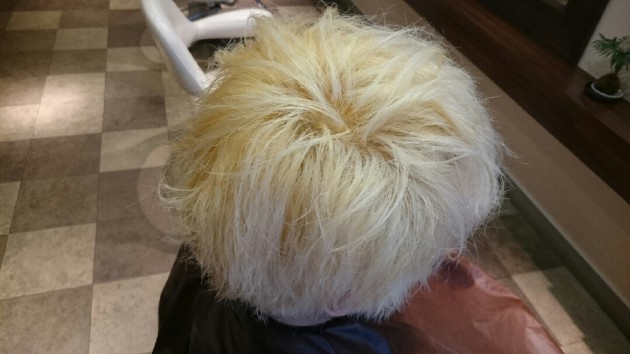ブリーチの毛髪診断　画像