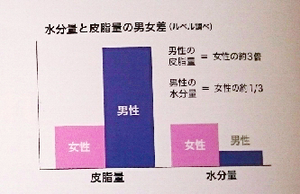 水分量と皮脂量の男女差画像