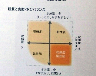 肌質と皮脂・水分バランス画像