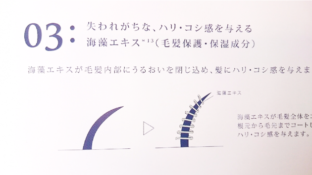 海藻エキス図解 画像