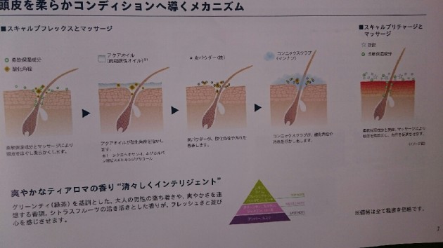 頭皮を柔らかコンデションへと導くメカニズム画像