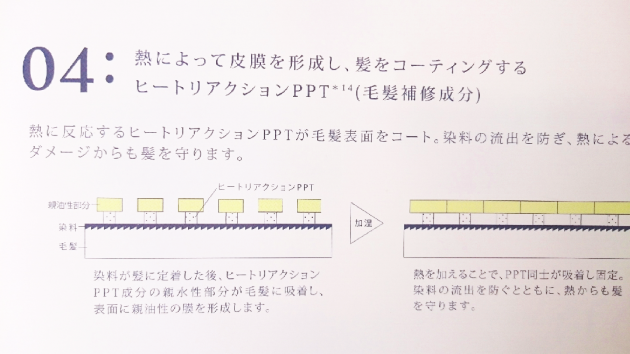 ヒートリアクションPPT画像