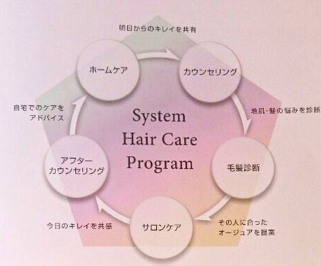 システムヘアケアプログラム画像