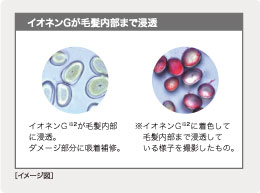 アミノ酸画像