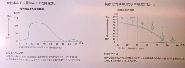 年齢による女性の体の内側での変化画像