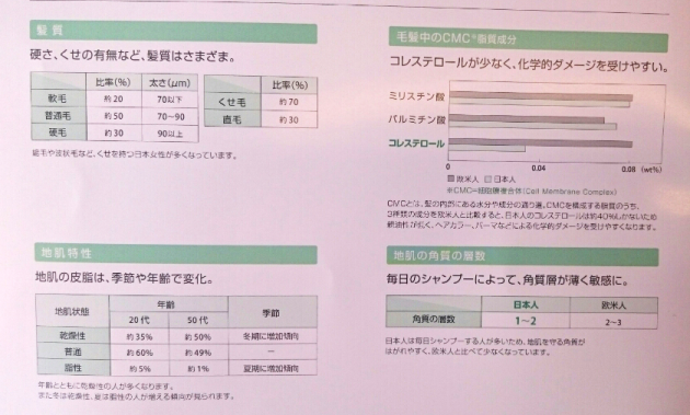 毛髪・地肌の特性の図表一覧画像