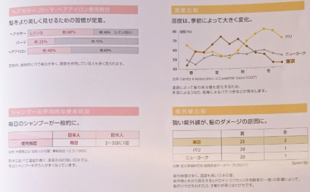 毛髪・地肌・美容習慣・気候の特性画像