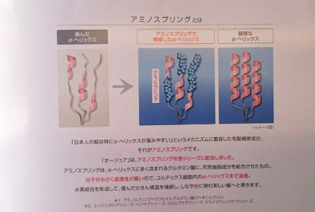 アミノスプリングを配合画像