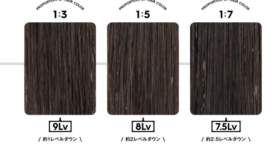 1～2.5レベルダウン画像