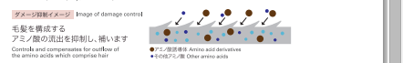 コンデション二ング効果を高める画像