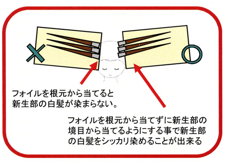 フォイルを根本からあてると新生毛の白髪が染まらない画像