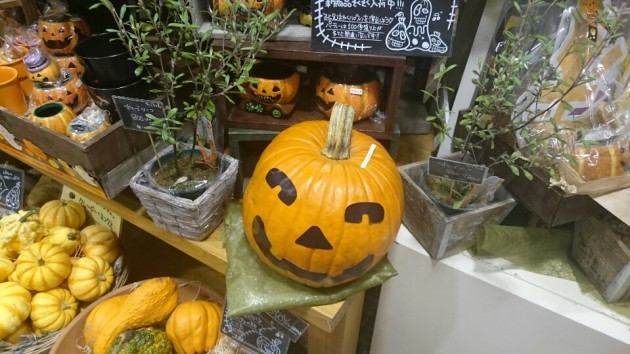 ハロウィンディー画像