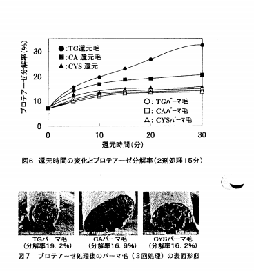 髪の毛の構造解析　画像