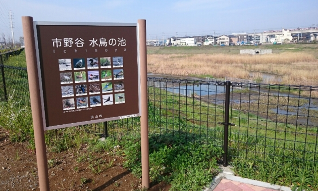 貯水地おおたかの森「南口」画像