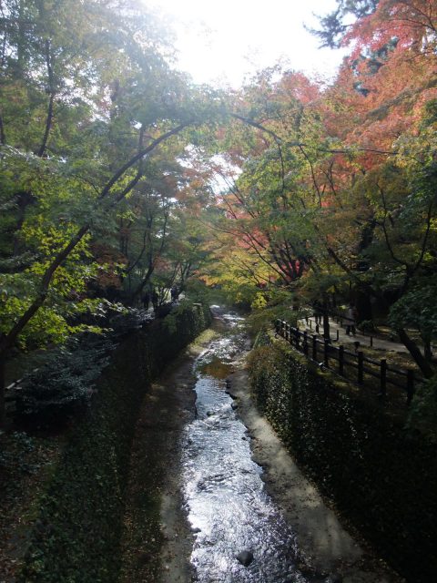 箱根の山々画像