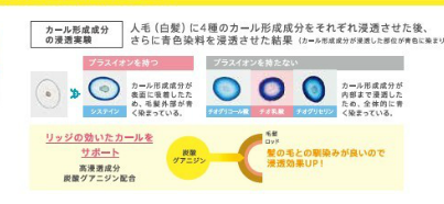 ルフォール カール S1 ルベル画像