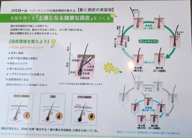 クレイセル画像