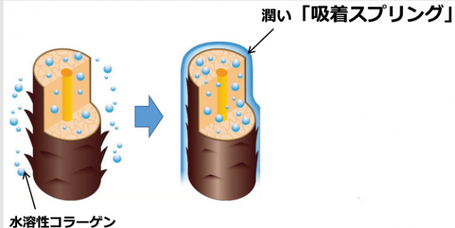 吸着スプリング画像