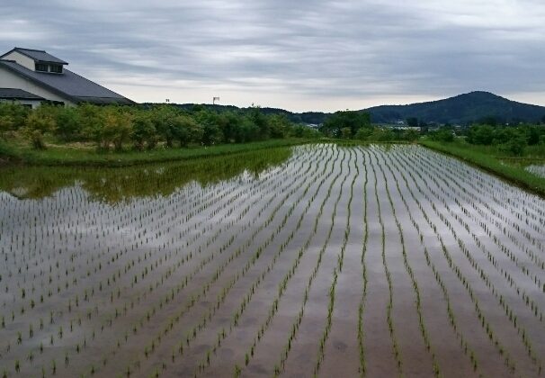 茨城県やさと風景