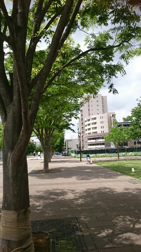 おおたかの森駅周辺の開発