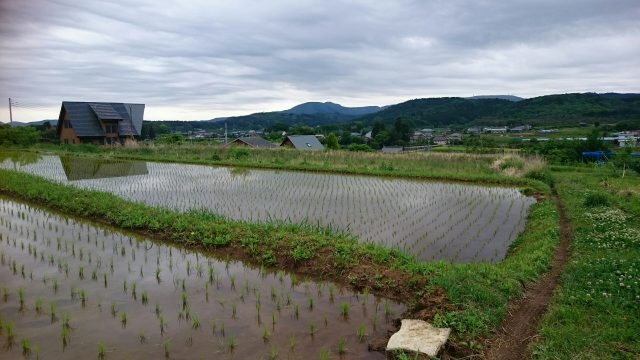 つくば山麓の里山の風景