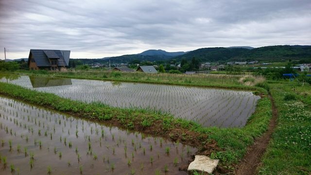 つくば山麓の里山の風景