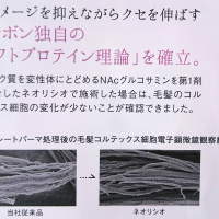 熱疑集を迎制する